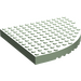 LEGO Vert clair Brique 12 x 12 Rond Coin  sans Top Pegs (6162 / 42484)