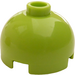 LEGO Lime Brick 2 x 2 Round with Dome Top (Hollow Stud, Axle Holder) (3262 / 30367)