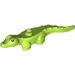 LEGO Chaux Crocodile avec Noir Yeux (69602)