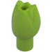 LEGO Lime Tulip (5903)