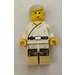 LEGO Luke Skywalker (Tatooine) Figurine (Version livre)
