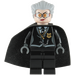 LEGO Madame Hooch Minifigure