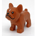 LEGO Mittleres dunkles Fleisch Hund - French Bulldog mit Weiß Haar Patch (32892 / 79490)