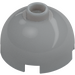 LEGO Medium Stone Gray Brick 2 x 2 Round with Dome Top (Safety Stud, Axle Holder) (3262 / 30367)