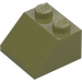 LEGO Olijfgroen Helling 2 x 2 (45°) (3039 / 6227)