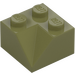 LEGO Olivově zelená Sklon 2 x 2 (45°) s Dvojité Concave (Hrubý povrch) (3046 / 4723)