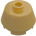 LEGO Pearl Gold Brick 2 x 2 Round with Sloped Sides (98100)