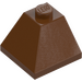 LEGO Reddish Brown Slope 2 x 2 (45°) Corner (3045)