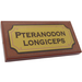 LEGO Reddish Brown Tile 2 x 4 with &#039;PTERANODON LONGICEPS&#039; Sticker (87079)