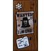 LEGO Reddish Brown Tile 2 x 4 with Wood Grain, Sheriff Badge, and &#039;WANTED $5,000 REWARD&#039; Poster Sticker (87079)
