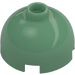 LEGO Sand Green Brick 2 x 2 Round with Dome Top (Hollow Stud, Axle Holder) (3262 / 30367)