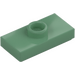 LEGO Sand Green Plate 1 x 2 with 1 Stud (with Groove and Bottom Stud Holder) (15573 / 78823)