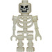 LEGO Skelet met Evil Schedel Minifiguur