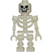 LEGO Skelet met Evil Skull minifiguur