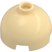 LEGO Tan Brick 2 x 2 Round with Dome Top (Hollow Stud, Axle Holder) (3262 / 30367)