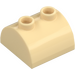 LEGO Tan Slope 2 x 2 Curved with 2 Studs on Top (30165)