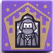 LEGO Tile 2 x 2 with Chocolate Frog Card Bertie Bott Pattern with Groove (3068)