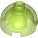 LEGO Vert clair transparent Brique 2 x 2 Rond avec Dome Haut (Goujon creux, support d&#039;essieu) (3262 / 30367)