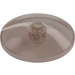 LEGO Transparent Brown Black Dish 4 x 4 (Solid Stud) (3960 / 30065)