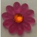 LEGO Transparent Dark Pink Clikits Flower with 10 Petals with Transparent Neon Orange Center