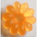 LEGO Naranja transparente Clikits 2 x 2 Flor con 10 Pétalos con Agujero (45458 / 46283)