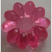 LEGO Transparent Pink Clikits 2 x 2 Flower with 10 Petals with Hole (45458 / 46283)