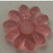 LEGO Transparentes Rosa Clikits Daisy Klein mit 10 Blütenblätter (45456 / 46282)