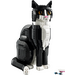 LEGO Tuxedo Cat 21349