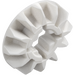 LEGO White Bevel Gear Half with 12 Teeth (6589)