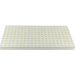 LEGO White Brick 10 x 20 without Bottom Tubes, with 4 Side Supports and &#039;+&#039; Cross Support (Early Baseplate)