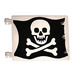 LEGO Bianco Bandiera 6 x 4 con 2 Connettori con Jolly Roger su Nero Background (2525 / 81427)