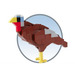 LEGO {Wild Turkey} Set PARAMUS