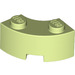 LEGO Gelblich-grün Backstein 2 x 2 Runden Ecke mit Bolzenkerbe und verstärkter Unterseite (85080)