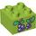 Duplo Lime Brick 2 x 2 with Grapes (3437 / 15868)