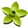 Duplo Lime Flower with 5 Angular Petals (6510 / 52639)