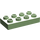 Duplo Medium Groen Plaat 2 x 4 (4538 / 40666)