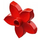 Duplo rouge Fleur avec 5 Angular Pétales (6510 / 52639)