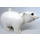 Duplo Blanc Polar Ours aux yeux ronds bleus