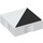 Duplo Bianco Piastrella 2 x 2 con Lato Indents con Nero Right-Angolato Triangolo (6309 / 48787)