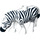 Duplo Blanco Zebra con Liso Mane (12042 / 88693)