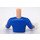 LEGO Beast (41067) Friends Torso Male (92815)