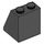 LEGO Zwart Helling 2 x 2 x 2 (65°) met buis aan de onderzijde (3678)