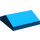 LEGO Blau Steigung 2 x 2 (25°) Doppelt (3300)