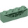 LEGO Brick 1 x 4 with Green Scales (3010 / 39355)