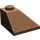 LEGO Braun Steigung 2 x 2 (45°) Ecke (3045)