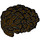 LEGO Dunkelbraun Coiled Haar mit Kurz Sides (80682)