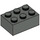 LEGO Dark Gray Brick 2 x 3 (3002)