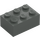 LEGO Dark Gray Brick 2 x 3 (3002)