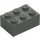 LEGO Dark Gray Brick 2 x 3 (3002)