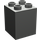LEGO Dark Gray Duplo Brick 2 x 2 x 2 (31110)